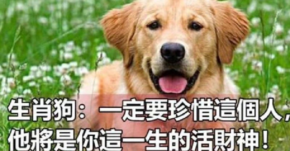 生肖狗：一定要珍惜這個人，他將會是你這一生的活財神！