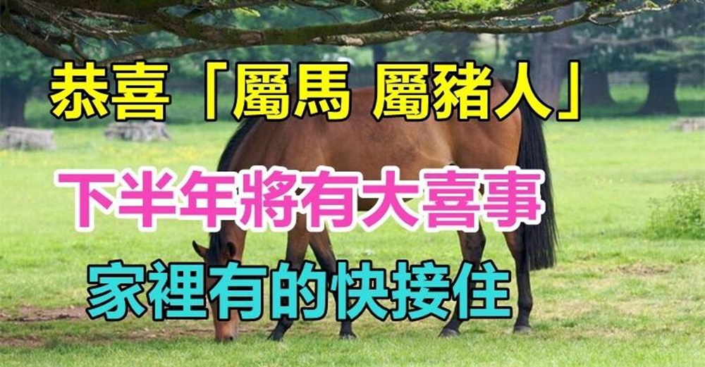 喜從天上來！恭喜家有「屬馬 屬豬人」的，下半年將有「三百年奇遇的大喜事」快接住