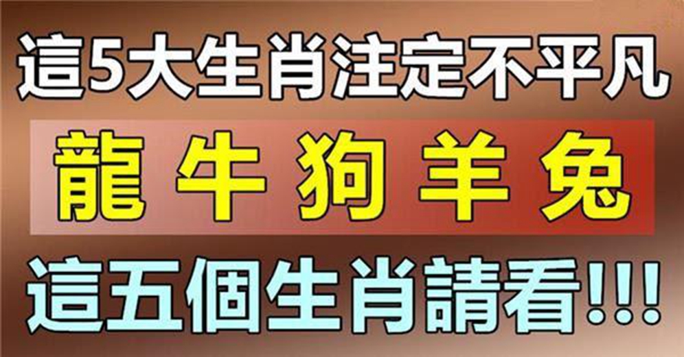 這5大生肖註定不平凡，生肖龍，生肖牛，生肖狗，生肖羊，生肖兔…這五個生肖請看!