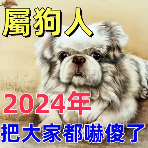 生肖屬狗注意：2024年可能是你福運的轉折點！