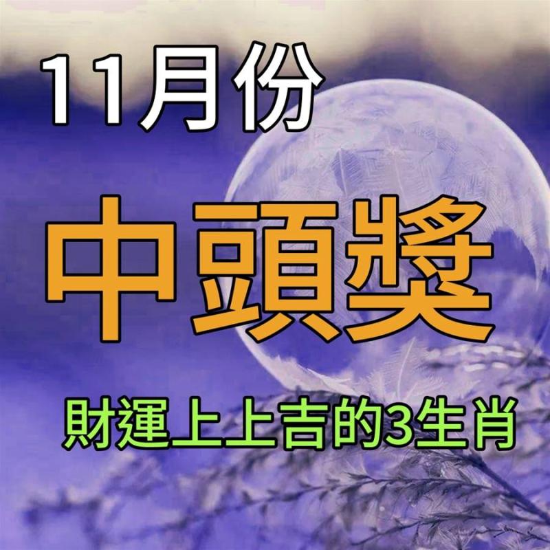 11月份財運上上吉，有機會中頭獎的生肖