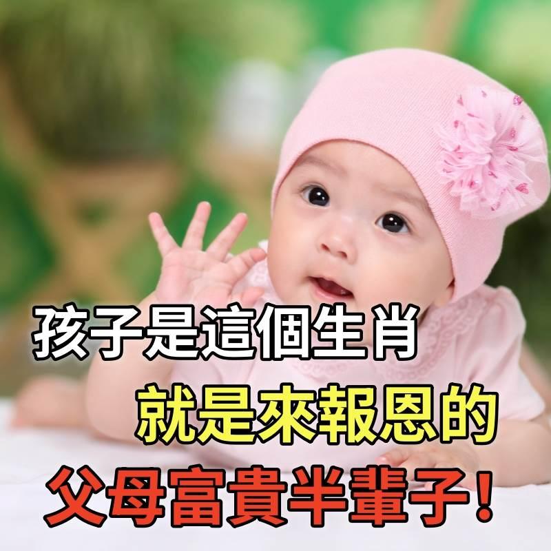 孩子是這個生肖，就是來報恩的，出生就帶財，父母富貴半輩子！