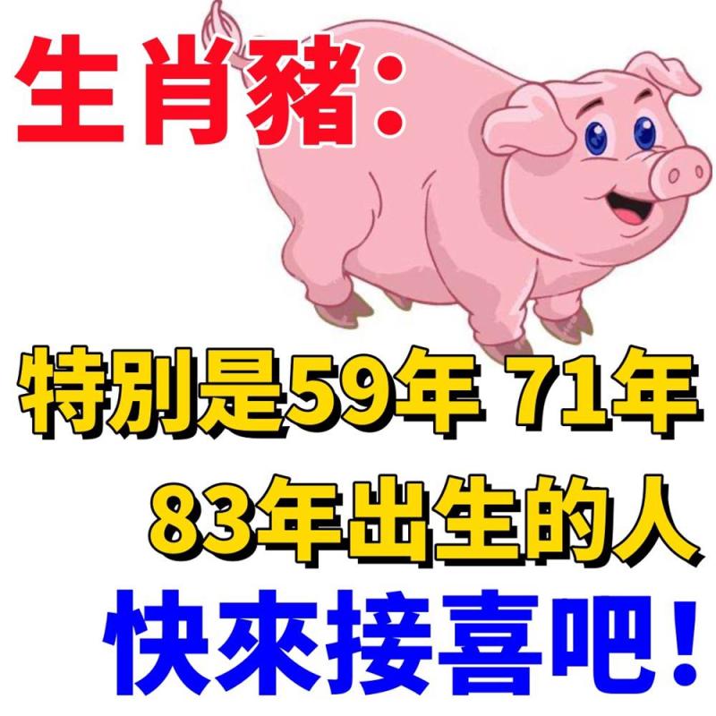 生肖豬：特別是59年、71年、83年出生的人，快來接喜吧！