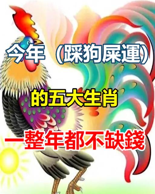 今年（踩狗屎運）的五大生肖，一整年都不缺錢