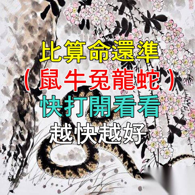 比算命還準！（鼠牛兔龍蛇）中年運如何？快來看看