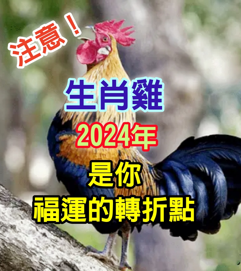 生肖屬雞注意：2024年可能是你福運的轉折點！