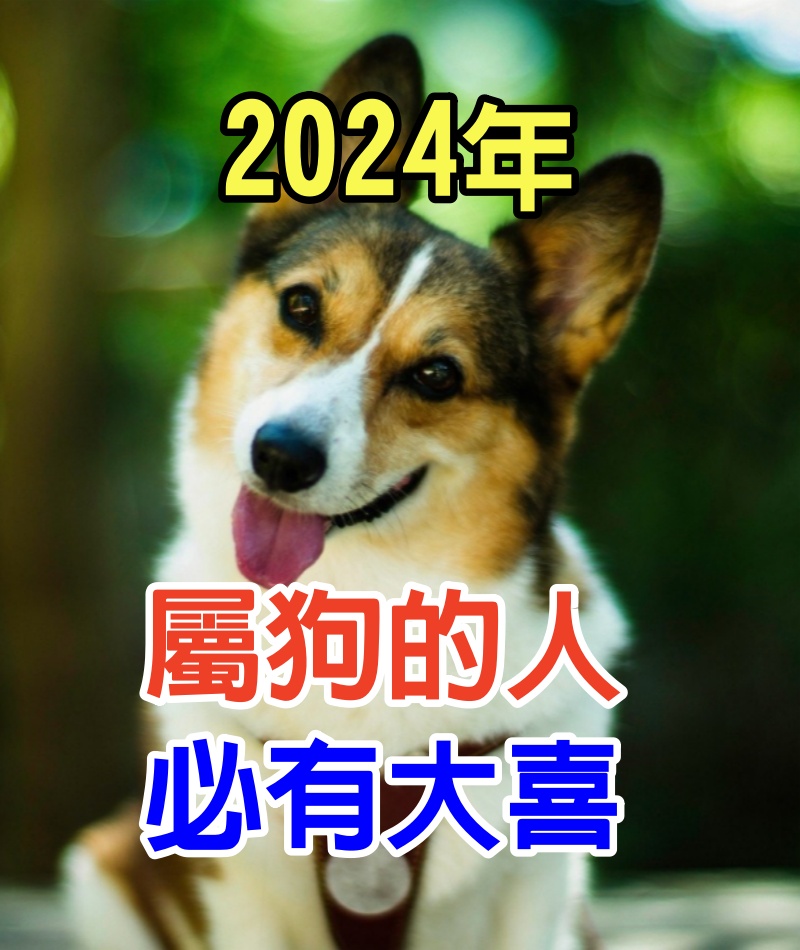 2024年，屬狗的人，必有大喜！