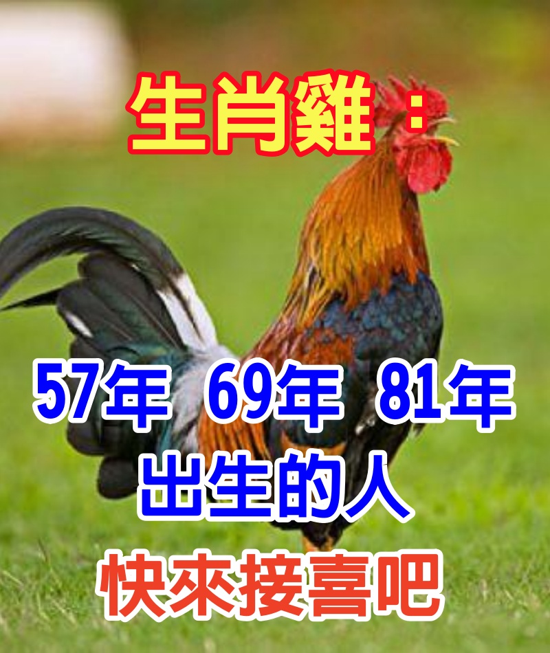 生肖雞：特別是1957年、1969年、1981年出生的人　快來接喜吧